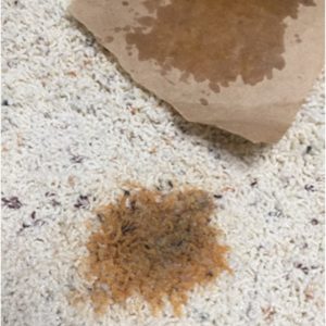 iron and brown bag method isnt as effective