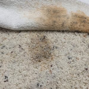 iron and cloth make cleaning candle wax easy