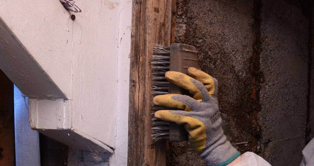 Mold clean up