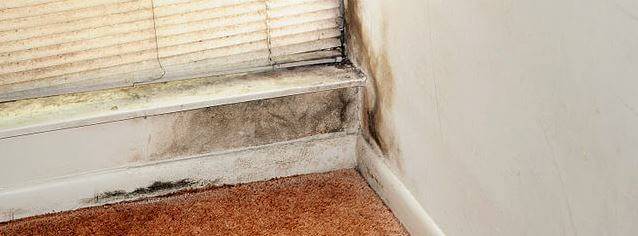 Mold wall
