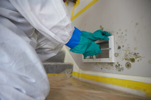 mold mitigation and removal expert removing mold from walls