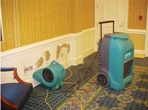 ServiceMaster mold remediation