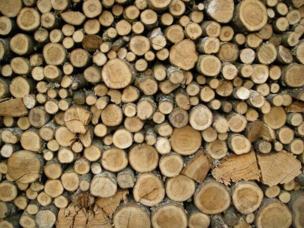 Stacked wood logs