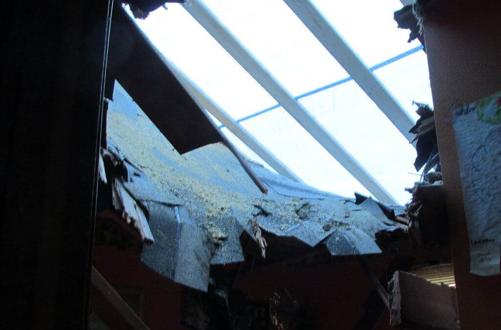 tree damaged roof