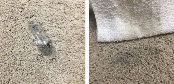 RESULTS FROM THE TERRY CLOTH METHOD