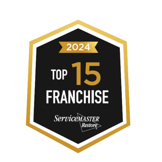 PIP Elite Champions 2024